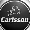 Carlsson17