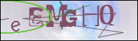 Registration Image