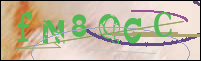 Registration Image