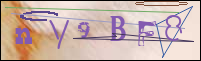 Registration Image