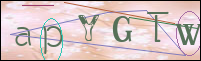 Registration Image