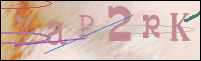Registration Image