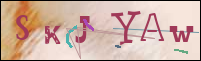Registration Image