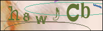 Registration Image