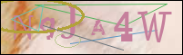 Registration Image