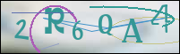 Registration Image