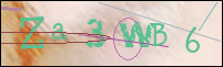 Registration Image