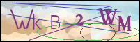 Registration Image