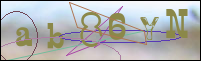 Registration Image