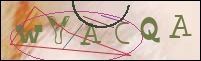 Registration Image
