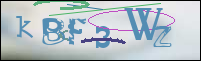 Registration Image
