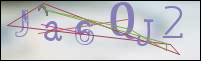 Registration Image