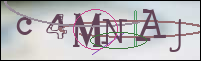 Registration Image