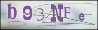 Registration Image