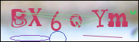 Registration Image
