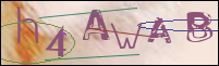 Registration Image