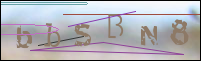 Registration Image
