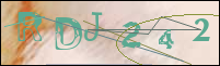 Registration Image