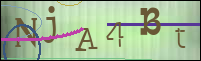 Registration Image
