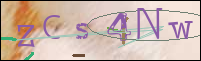 Registration Image
