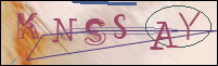 Registration Image