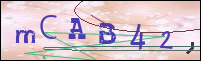 Registration Image