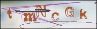 Registration Image