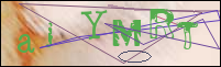 Registration Image