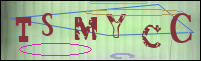 Registration Image