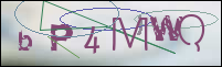 Registration Image