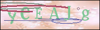 Registration Image