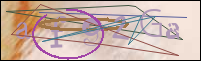 Registration Image