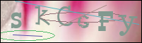 Registration Image