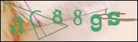 Registration Image