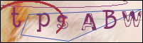 Registration Image