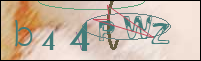 Registration Image