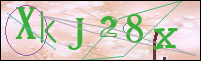 Registration Image
