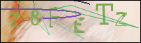 Registration Image