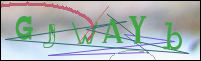 Registration Image