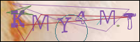 Registration Image