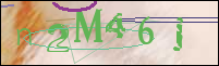 Registration Image