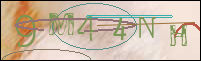 Registration Image