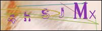 Registration Image