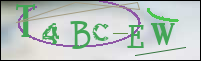 Registration Image
