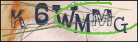 Registration Image