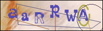 Registration Image