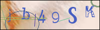 Registration Image