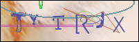 Registration Image