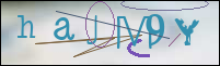 Registration Image