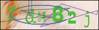 Registration Image